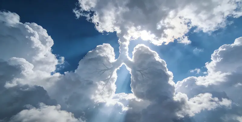 长春肺癌靶向39基因检测及PDL122C3表达检测套餐（组织）图片1