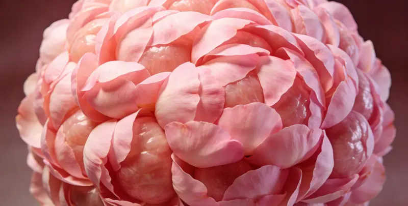 长春BRCA1/2乳腺癌卵巢癌基因检测图片1